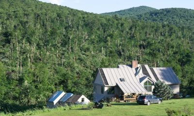 House with metal roof in forested hills