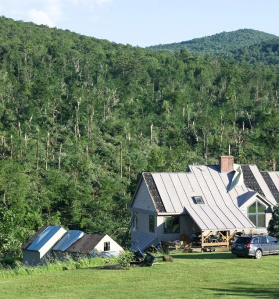 House with metal roof in forested hills