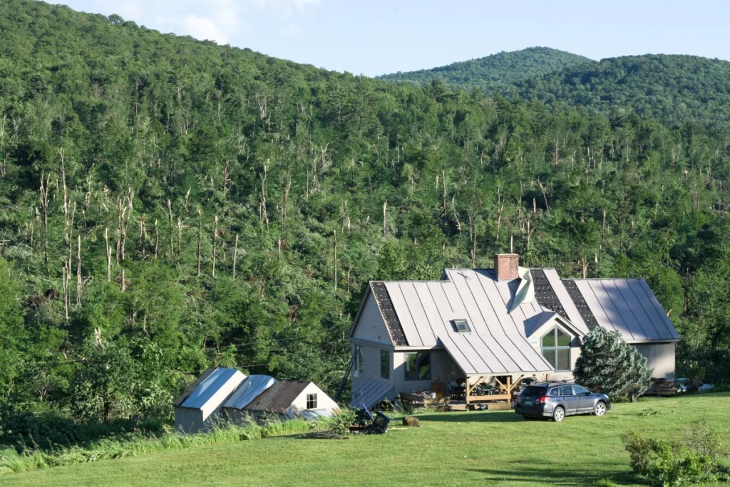 House with metal roof in forested hills
