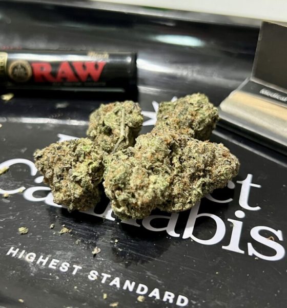 Cannabis buds on tray with rolling papers