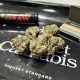 Cannabis buds on tray with rolling papers