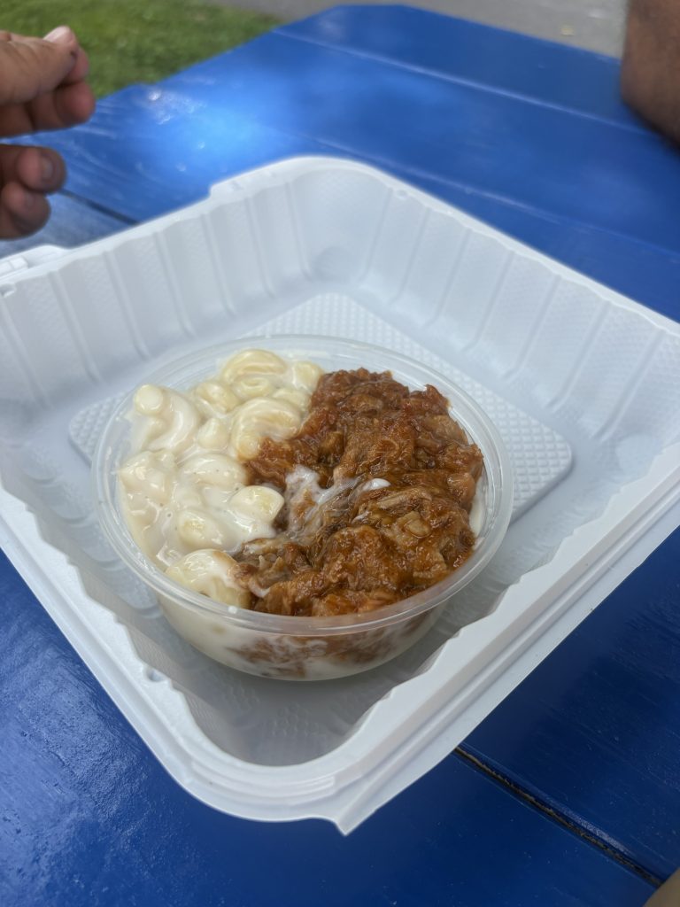 Macaroni and cheese with pulled pork in container