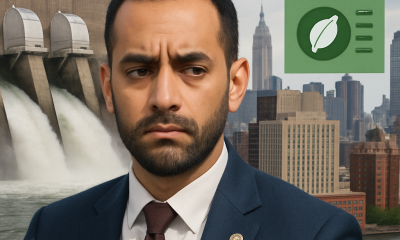 Impact of New York City's Hydropower Credits on Local Climate Law