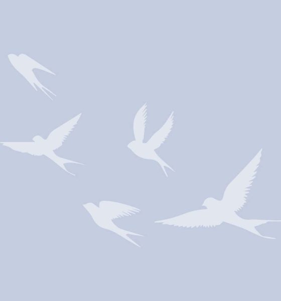 White bird silhouettes flying on blue background