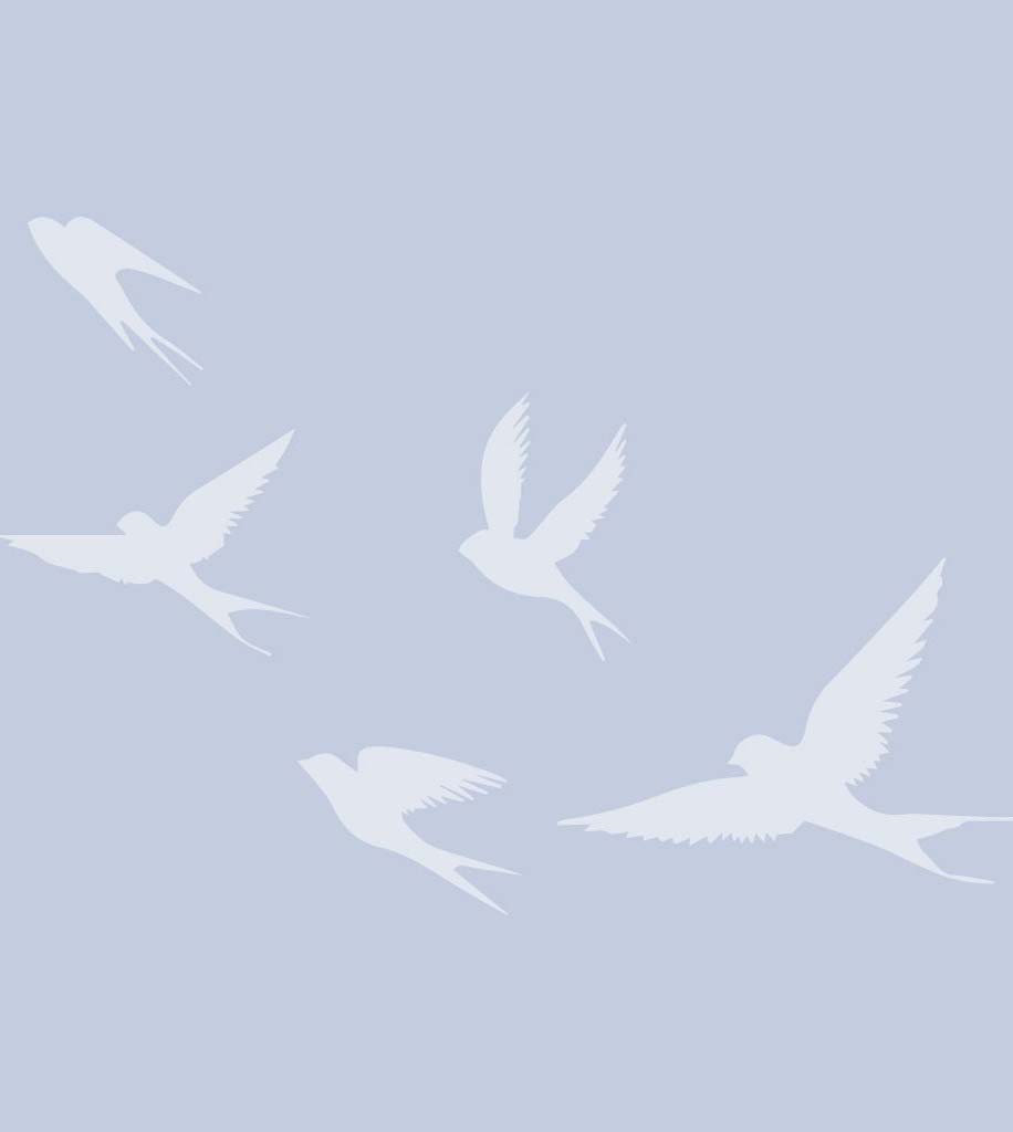 White bird silhouettes flying on blue background