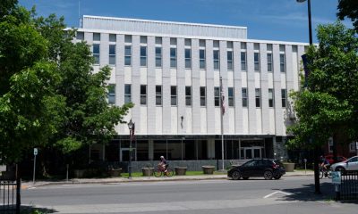 White brick office building along tree-lined street