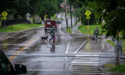 People crossing wet street with dog in rain