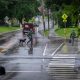 People crossing wet street with dog in rain