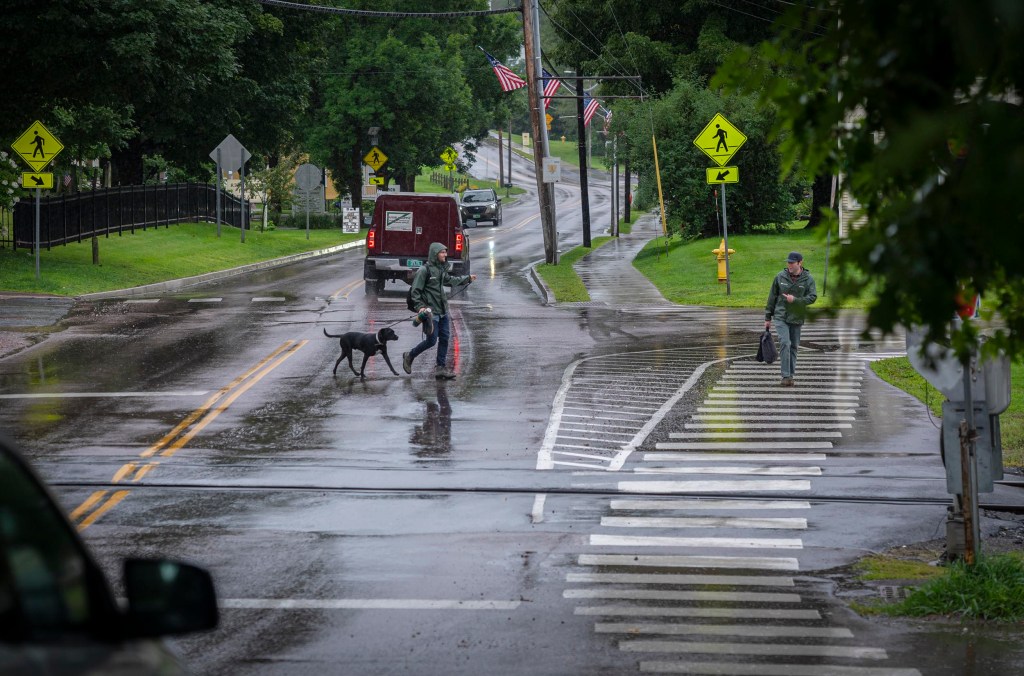 People crossing wet street with dog in rain