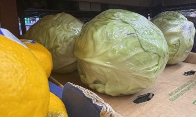 Plastic-wrapped cabbages on store shelf with lemons