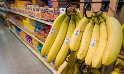 Bananas hanging in grocery store produce aisle