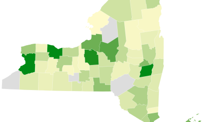 New York counties shaded by NY HELPS hiring totals