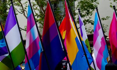 Colorful LGBTQ flags waving at a public event, symbolizing diversity and inclusion. — LGBTQ healthcare barriers