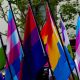 Colorful LGBTQ flags waving at a public event, symbolizing diversity and inclusion. — LGBTQ healthcare barriers