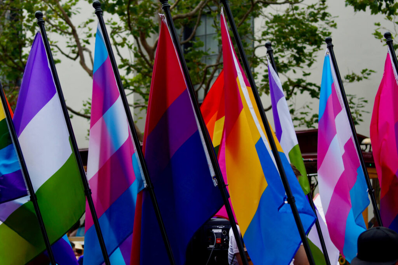 Colorful LGBTQ flags waving at a public event, symbolizing diversity and inclusion. — LGBTQ healthcare barriers