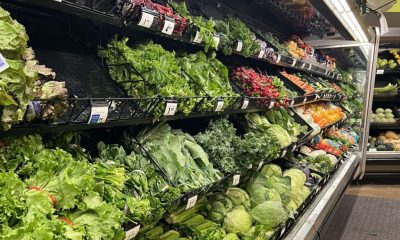 A grocery store produce section filled with various types of fresh greens and vegetables, includ — food recalls Bennington