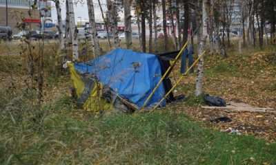 A makeshift tent in a wooded area, surrounded by autumn foliage, highlighting issues related to federal homelessness grants.