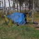 A makeshift tent in a wooded area, surrounded by autumn foliage, highlighting issues related to federal homelessness grants.