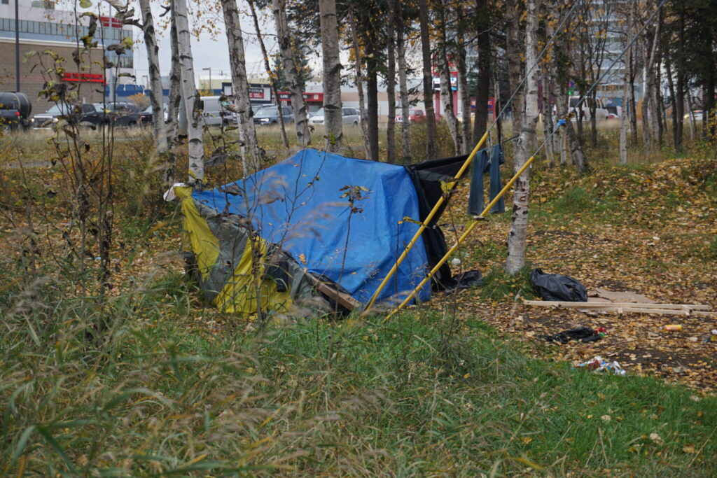 A makeshift tent in a wooded area, surrounded by autumn foliage, highlighting issues related to federal homelessness grants.