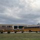 Hammond High School with several yellow school buses parked in front under a cloudy sky, — violent victimization at school