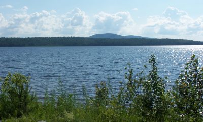 Scenic view of a lake surrounded by greenery and mountains under a cloudy sky, hig — New York drinking water contamination