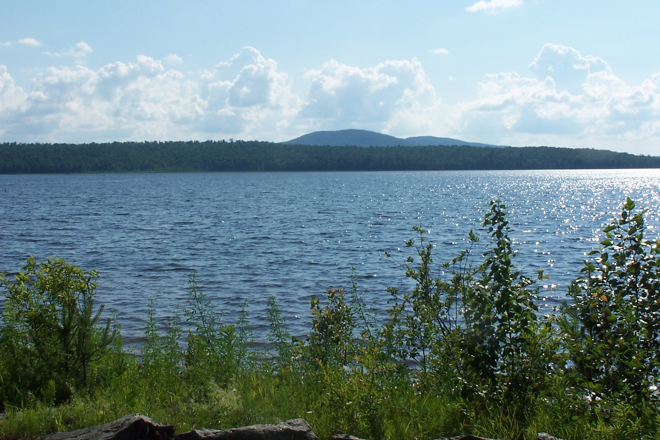 Scenic view of a lake surrounded by greenery and mountains under a cloudy sky, hig — New York drinking water contamination
