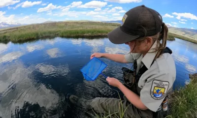 A U.S. Fish and Wildlife Service biologist examines water samples in a serene lan — Endangered Species Act lawsuit Vermont