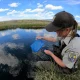 A U.S. Fish and Wildlife Service biologist examines water samples in a serene lan — Endangered Species Act lawsuit Vermont