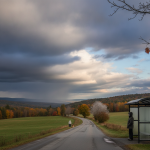 A person walking a dog along a road with autumn foliage and a bus stop under cloudy s — Bennington County weather forecast