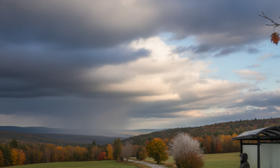 A person walking a dog along a road with autumn foliage and a bus stop under cloudy s — Bennington County weather forecast