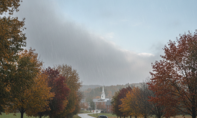 A person walking with an umbrella on a rainy road lined with autumn trees in Benni — Bennington County VT weather forecast