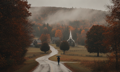 Overcast autumn skies and damp foliage highlight a cool Bennington County weather forecast.