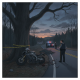 Scene of a fatal motorcycle crash on a rural road in Dorset, VT, with a motorcycle, pol — Fatal Motorcycle Crash Dorset VT