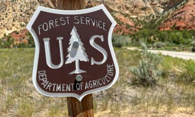 Sign for the U.S. Forest Service, Department of Agriculture, with a mountainou — US Forest Service headquarters relocation