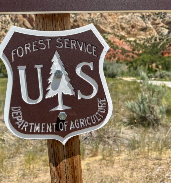 Sign for the U.S. Forest Service, Department of Agriculture, with a mountainou — US Forest Service headquarters relocation