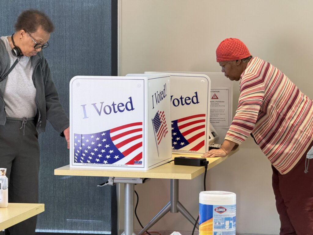 Two people use private voting booths decorated with “I Voted” signs and American f — noncitizen voting ballot measures