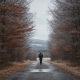 A person walking down a deserted road lined with trees, showcasing autumn foliage in — Bennington County weather forecast