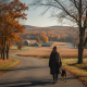 Bennington VT weather forecast: a person walks a dog along a country road amid golden autumn fields and trees.