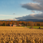 Golden cornfield with people walking towards a farmhouse under a cloudy sky in Ben — Bennington County VT weather forecast