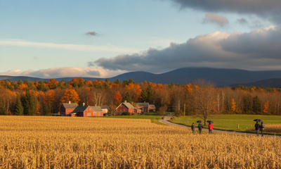 Golden cornfield with people walking towards a farmhouse under a cloudy sky in Ben — Bennington County VT weather forecast
