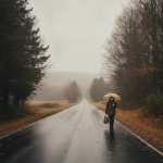 A person walking along a wet road under an umbrella, surrounded by autumn trees in Be — Bennington County weather forecast