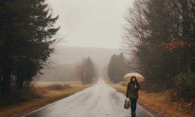 A person walking along a wet road under an umbrella, surrounded by autumn trees in Be — Bennington County weather forecast