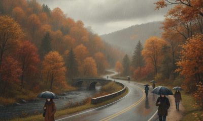 People walking with umbrellas along a wet road surrounded by autumn trees in Benningt — Bennington County weather forecast