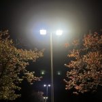 LED streetlights crime reduction study: bright twin lamps illuminate autumn trees on a dark street at night.