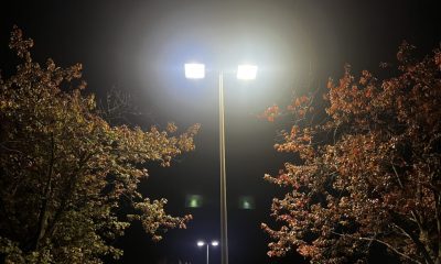 LED streetlights crime reduction study: bright twin lamps illuminate autumn trees on a dark street at night.
