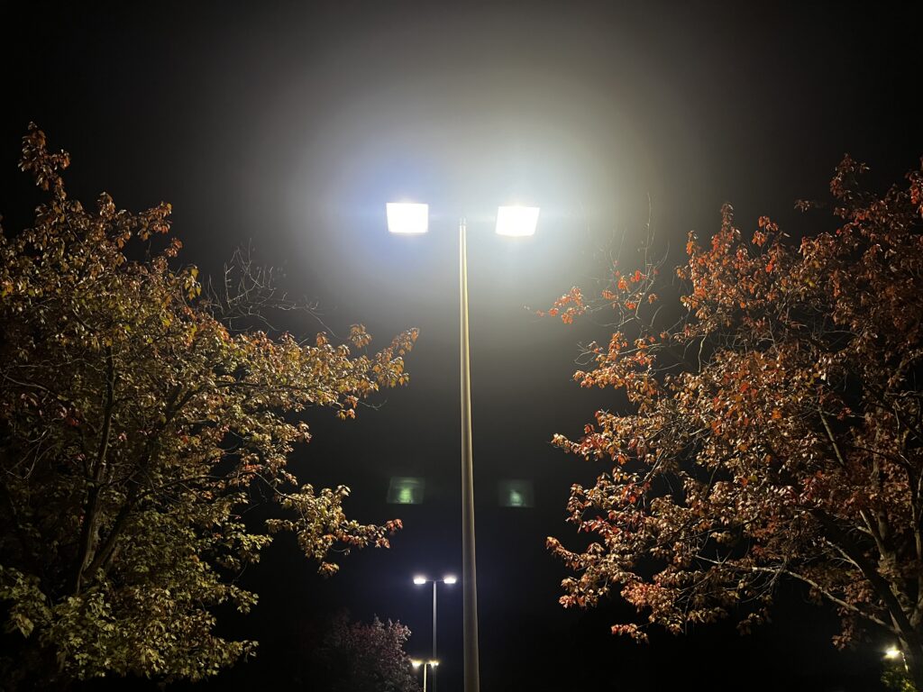 LED streetlights crime reduction study: bright twin lamps illuminate autumn trees on a dark street at night.