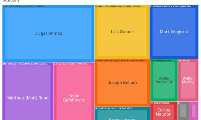 Kathy Hochul campaign contributions appointees shown in a treemap of donations and state officials, including Dr. Ijaz Ahm…