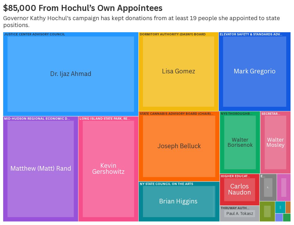 Kathy Hochul campaign contributions appointees shown in a treemap of donations and state officials, including Dr. Ijaz Ahm…